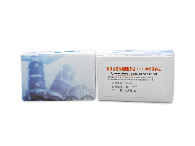 精子线粒体染色试剂盒（JC-1荧光染色法）